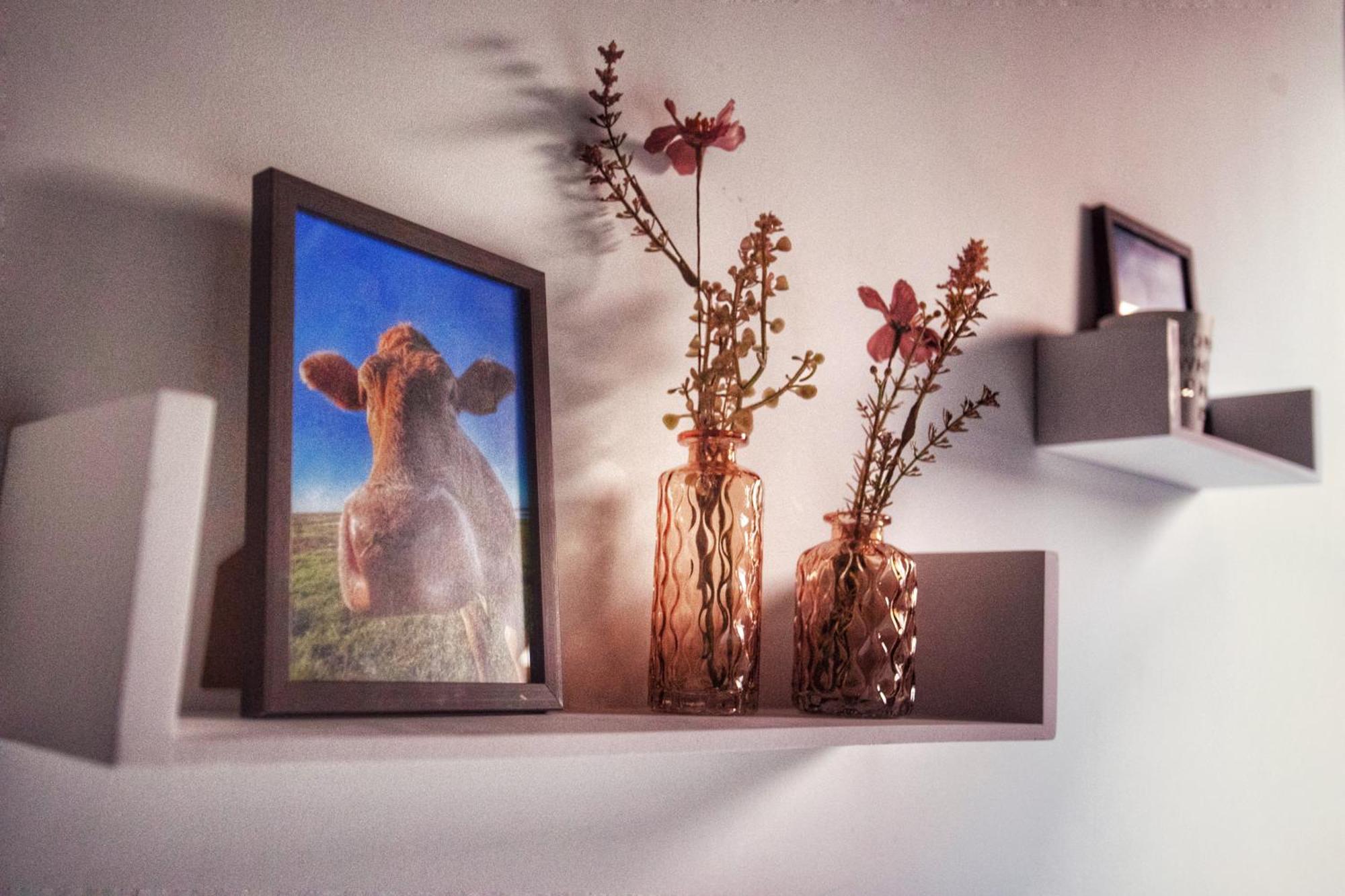 Huize Adriana Country house